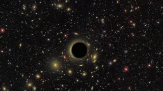Black Hole Study