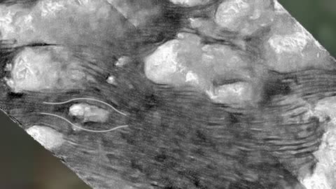 NASA captures Titan's Dunes of Shangri La