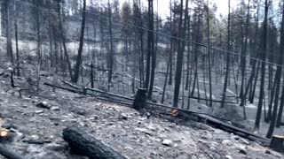 Aftermath of Canada's White Rock Lake wildfire
