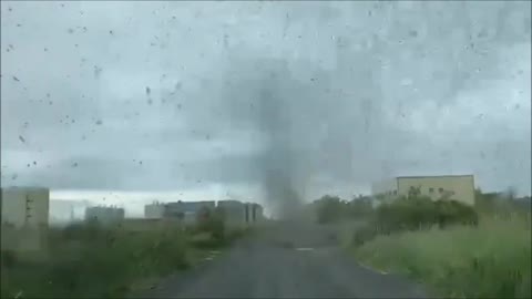 Mosquito 'Tornado' in Siberia