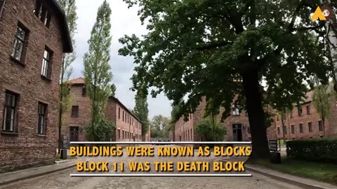 A visit to Auschwitz-Birkenau: confronting history's horrors