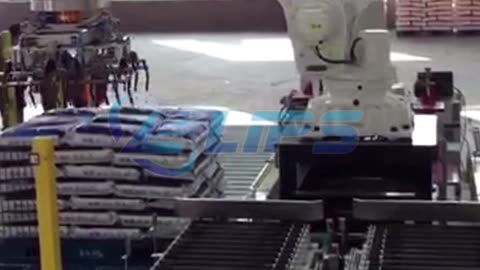 Robot palletizing system for 10kg bags #foryou#palletizer#robot#machine