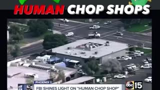 Human chop shop