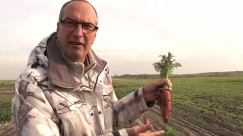 Salty potatoes spur food revolution