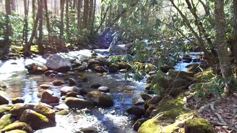 Mountain River Flowing Into Gatlinburg