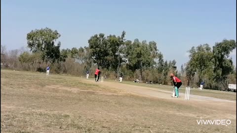 Play Hard Cricket match | live Cricket