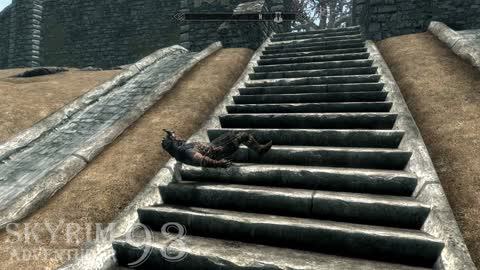 Skyrim guard "walking" up the stairs