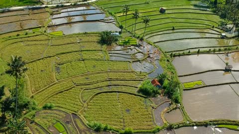 Indonesia | Cinematic Video | Beautiful Places to visit in Indonesia