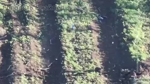 💪🦅 Disarming enemy stretchers using a drone. 🇺🇦 15 BrOP "Kara-Dag".