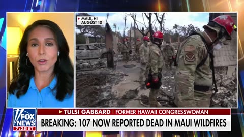 Gabbard: Hawaiians say the government's fire response is sorely lacking