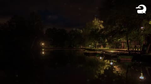 Peaceful Lake Sounds at Night Frogs, Crickets, Owls, Nature Sounds Relaxing Sleep ASMR