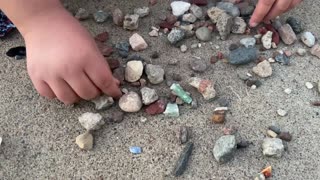 Isle Rock and Fossil Panning Haul