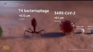 Comparison of Particle Size - From Human Hair to SARS-COV-2