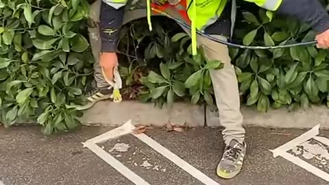 Satisfying Videos of Workers Doing Their Job Perfectly #2