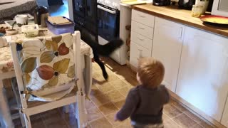 Toddler adorably plays tag with friendly German Shepherd