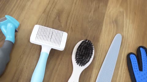 Cats vs Brush | Charmmy Meow