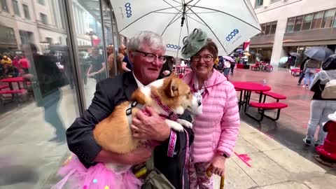 Corgis take the limelight in Queen's Jubilee parade