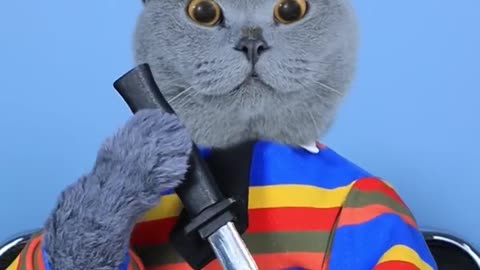 Do You Know The Secrets Of These MAGIC _✌️✌️_ Cat TikTok Challenge #funnycat #catsoftiktok