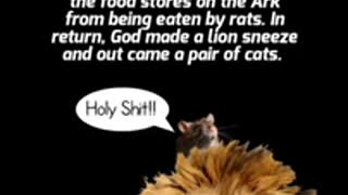 Fast Facts About Cats, Weird Cat Facts