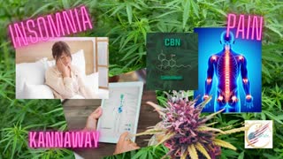 CANNABIS | Is there a benefit? Do we need it for good HEALTH!?