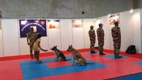 100 police dogs of dog trading policemen