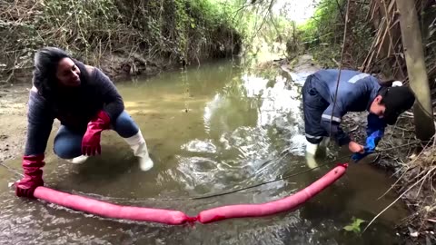 Ecologists use discarded hair to clean waterways in Chile