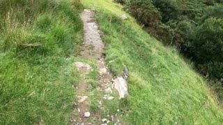 Speedlapse. Meldon reservoir. Dartmoor. GoPro on a head mount.