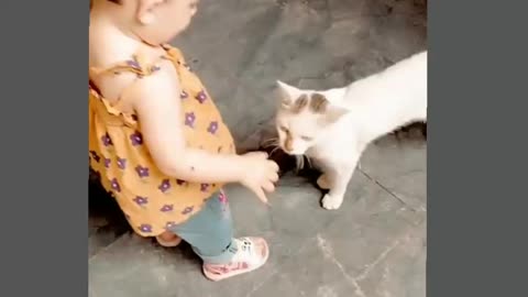 Cat cute video|beby play with cat