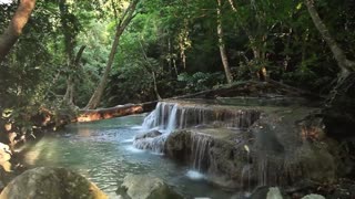 Rainforest Sounds - Water Sound Nature Meditation