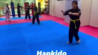 Hapkido