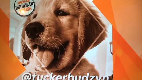 Tucker Budzyn wins the Pets American Influencer Award!