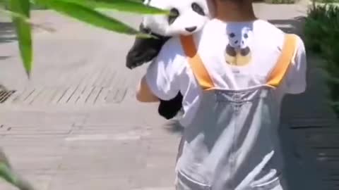 A Baby Panda Waving Hi to the Camera Super Cute