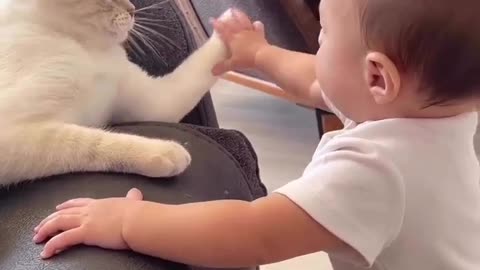 Feline Fun : Cat's Playtime with a Little Kid"