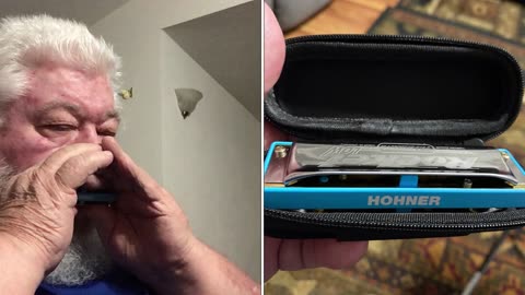 HOHNER Low F harmonica