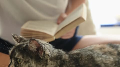 Woman Petting a Cat While Holding a Book