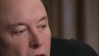 Elon Musk on AI Regulation