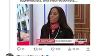 Dude- Rep Stacey Plaskett