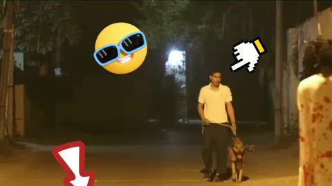 Human and animal prank funny video