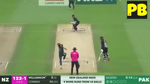 New Zeeland vs Pakistan 4th T20 2022 Highlights