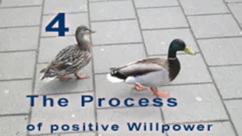 The Positive Process - Chapter 4. Energetic living