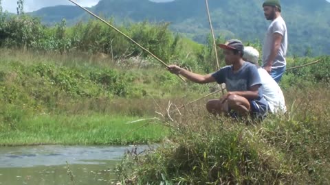Fishing in the Rice Fields