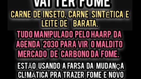 Se o povo aceitar e não cobrar dos políticos VAI SER FOME Rio Grande do Sul COP 28 AGENDA 2030