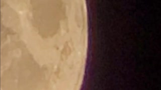 Moon Gazing / August 19 2021