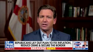 DeSantis: Lee Zeldin Will Look After the Taxpayers of New York for a Change