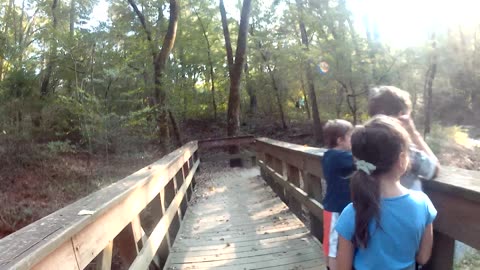 collin's creek trail. Heber Springs AR