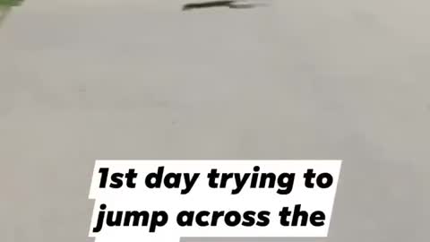 He jumped across the road!😱🤯