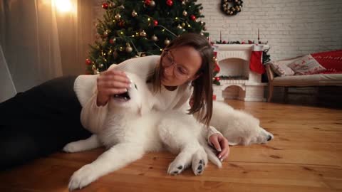 Girl playing with happy puppy on the background of Christmas tree and fireplace