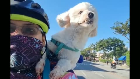 Bike ride with Pets