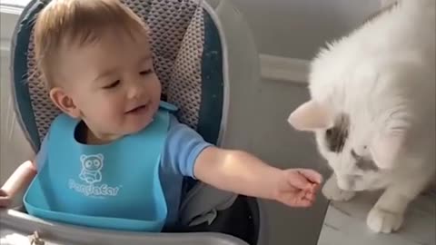 Unbelievable friendship of cats with babies 🐈💒🎁