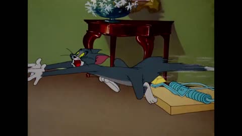 Tom & Jerry Cartoon